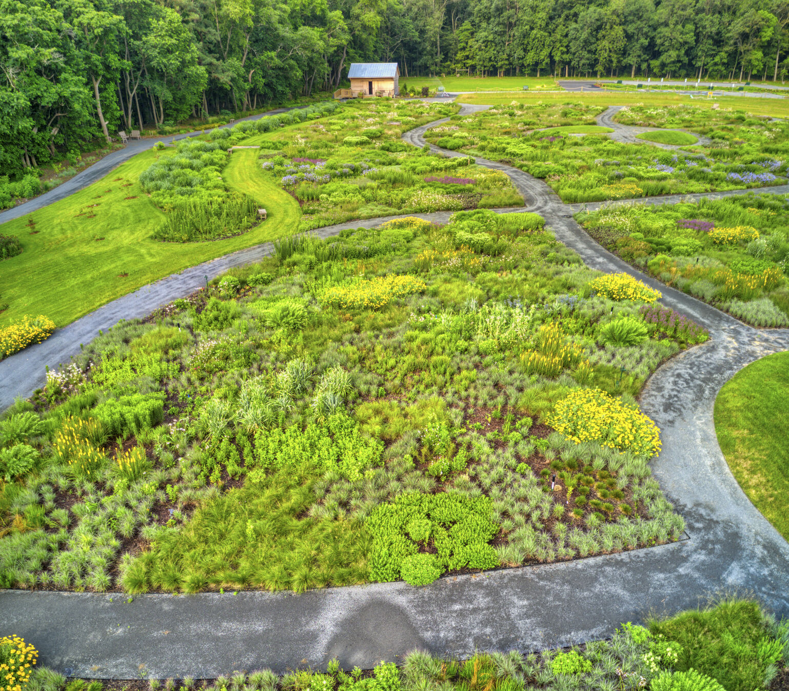 Meadow Garden